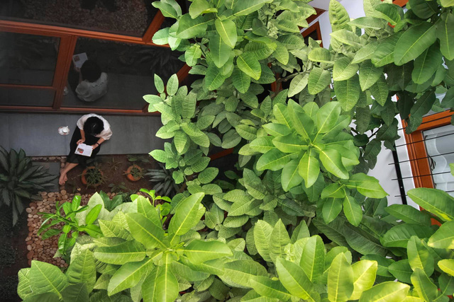 Chàng trai 30 tuổi xây Nhà của mẹ với kiến trúc mái đổ đặc biệt: Không gian mở đón gió để luôn thoáng mát, góc nhà nào cũng nhìn thấy nhau.